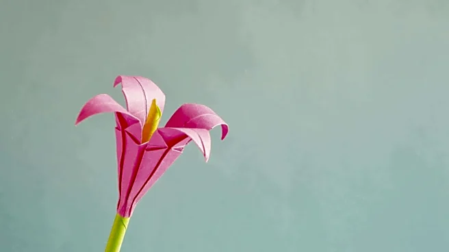 Origami 101: 5 fascinating things to know