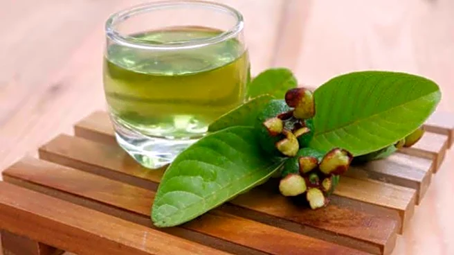 How guava leaves can help manage diabetes