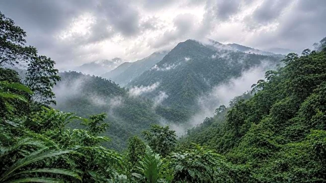 Bwindi Impenetrable Forest: A UNESCO site worth exploring