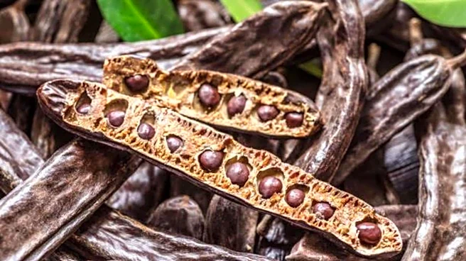 Locust beans: A hidden gem in healthy eating