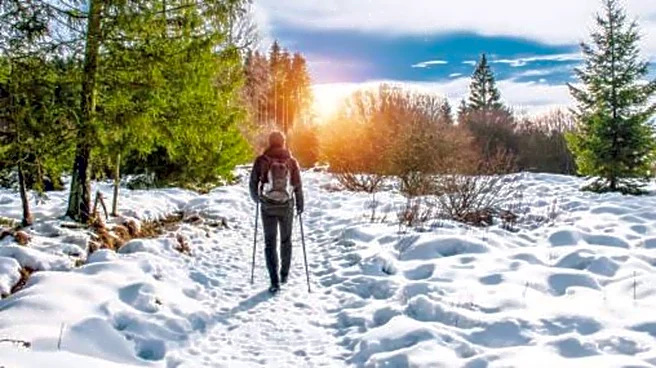 Top hiking trails to explore in Quebec City