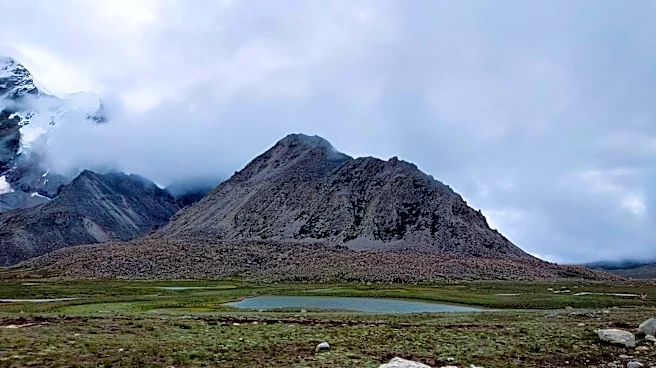 Sikkim treks that take you through tea gardens