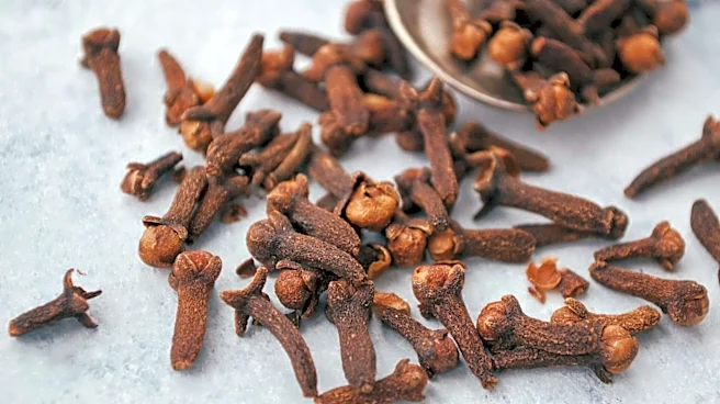 5 spices for better gut health and digestion