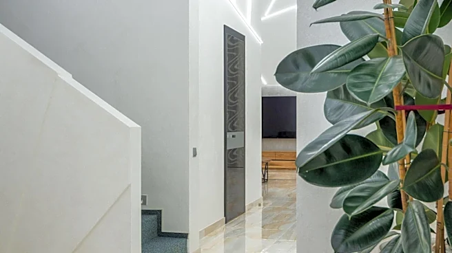 5 indoor plants that make your home feel fresher