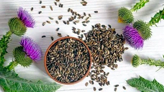 Milk thistle: A natural remedy for liver health