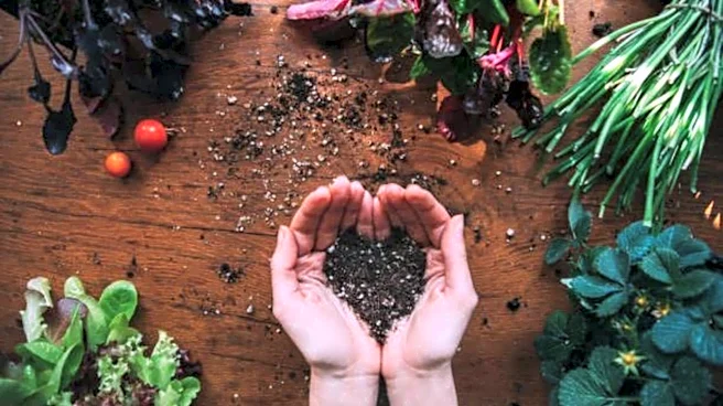 How to use kitchen scraps for your indoor garden