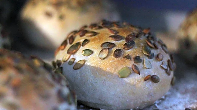 Turn pumpkin seeds into tasty meals with these 5 ideas