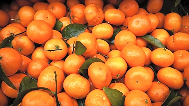 Add these citrus fruits to your daily diet