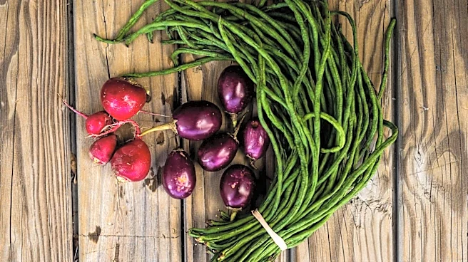 5 beans that are good for your health