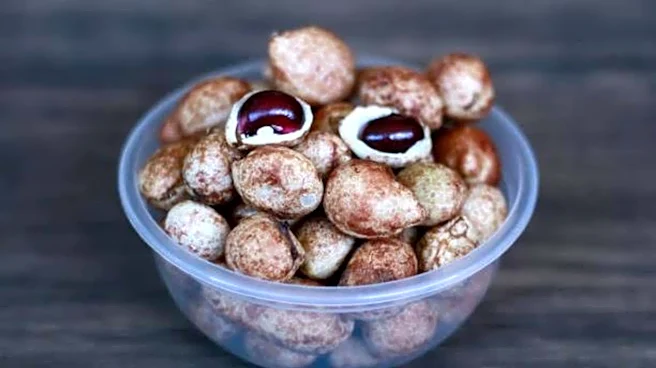 Bambara groundnut:A legume for better immunity