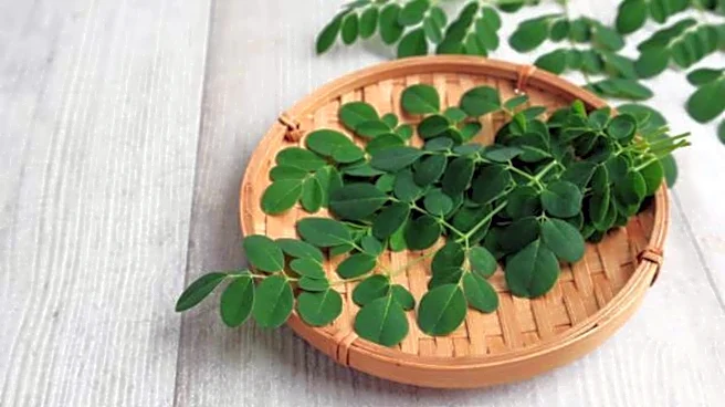 5 delicious recipes using drumstick leaves