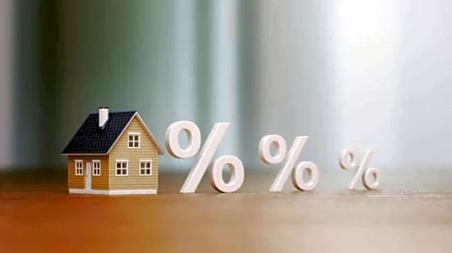 Struggling with high loan interest? Try these tips