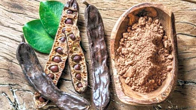 Why nutritionists are talking about carob pods
