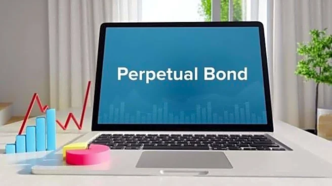 Perpetual bonds in India: An investor's guide