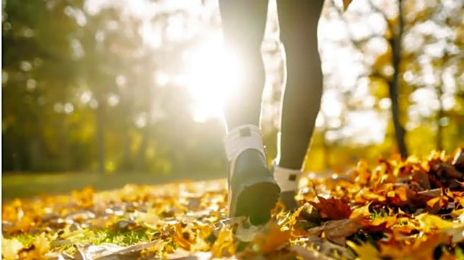 5 leg exercises everyone must try