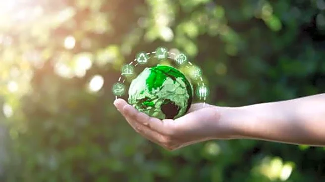 World Population Day: Simple ways to live more sustainably