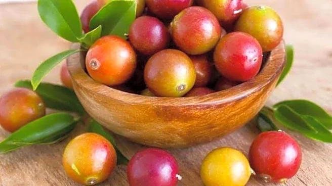 Camu camu: A tiny berry with many benefits