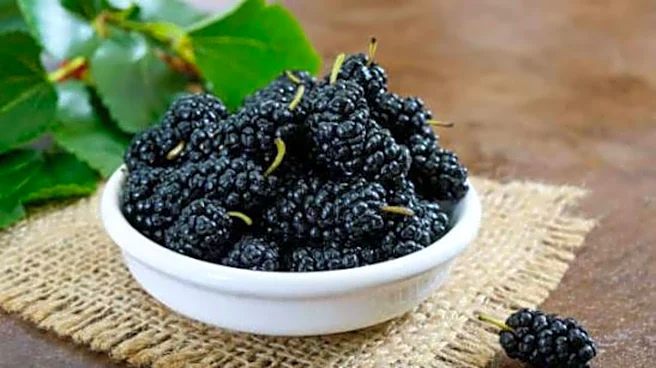 Why mulberries are great for your skin
