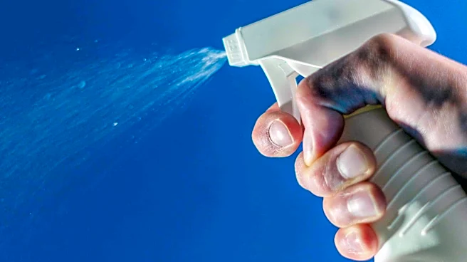 Say goodbye to lingering food smells