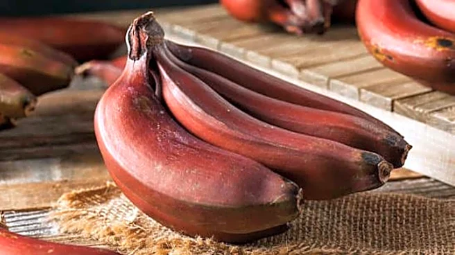 How to cook with red bananas