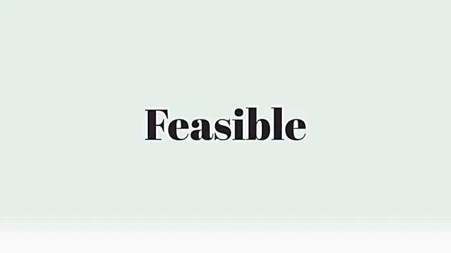 Word of the Day: Feasible