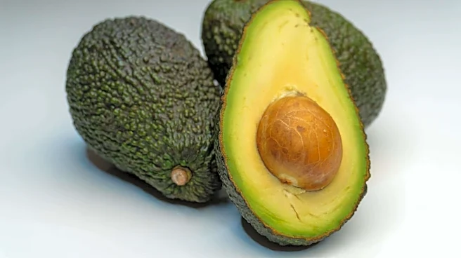 5 superfoods that support hormone balance