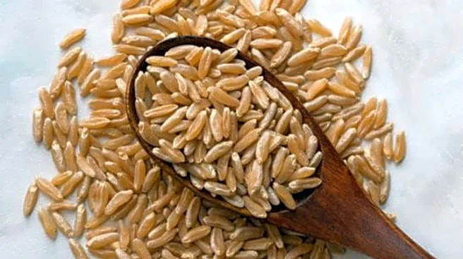 Teff v/s kamut: Which ancient grain is healthier?