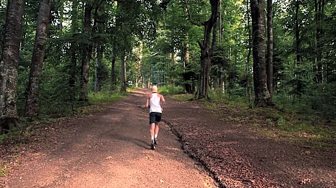Looking for a better run? Head to the forest