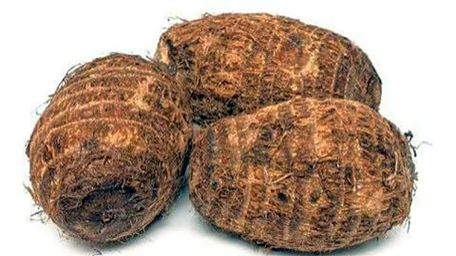 Cocoyam: A nutritious root vegetable to try