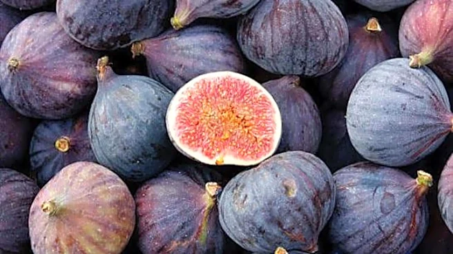 Why sour fig is trending in wellness circles
