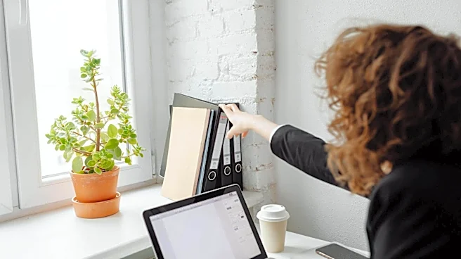 Best free tools to declutter your files