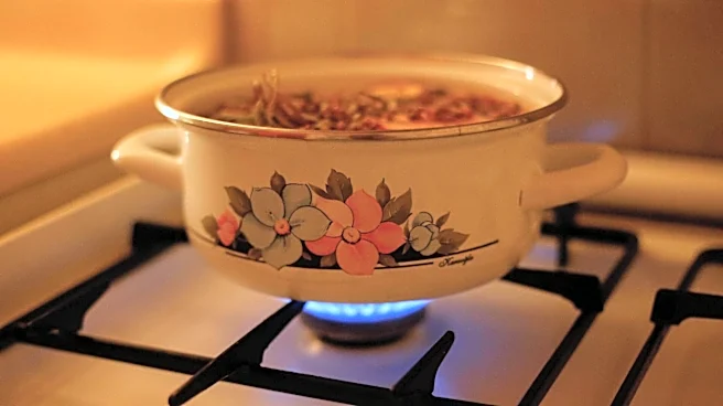 Make your home smell amazing with simmer pots