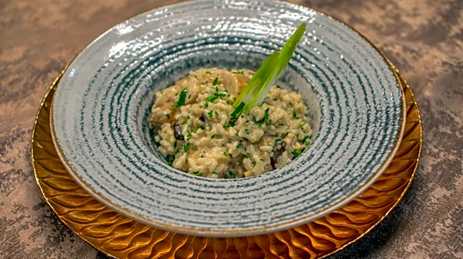 Delicious dishes you can make with oats