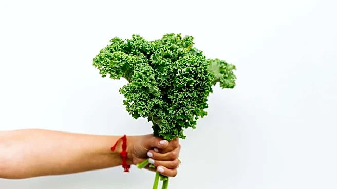 Leafy stems you need in your vegetarian diet