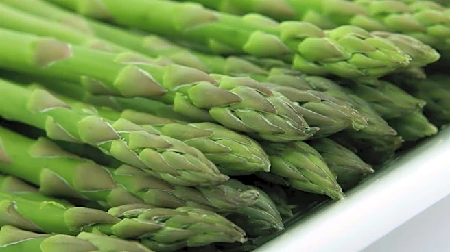 Stalk vegetables every vegetarian must have