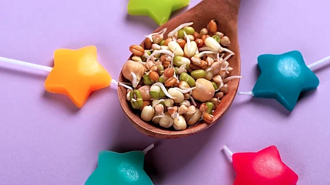 How to soak and sprout seeds