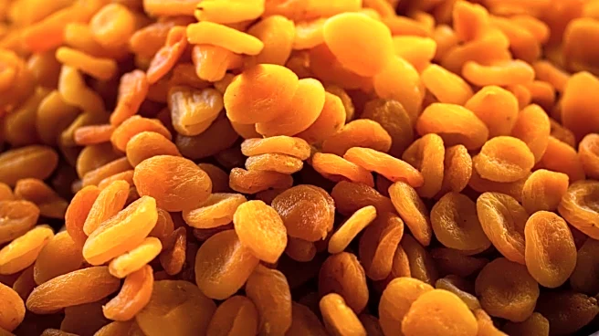 5 dried fruits every vegetarian should eat