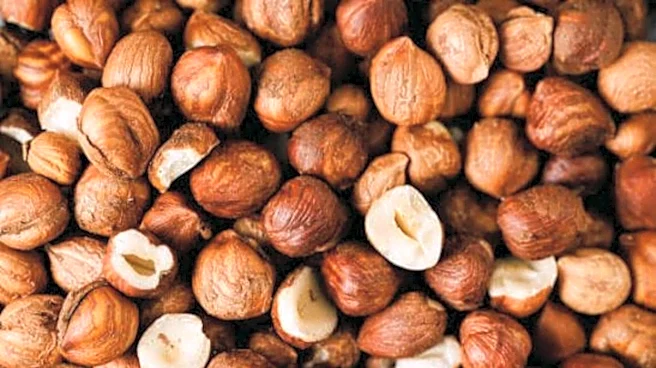 Tasty ways to enjoy hazelnuts for breakfast