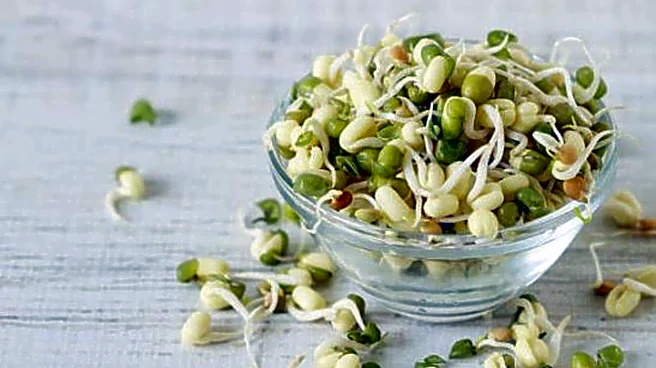 These bean sprout recipes are awesome!