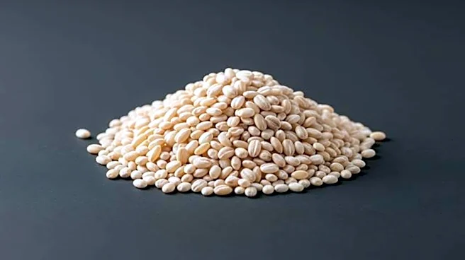 Fonio is a supergrain for brain health!