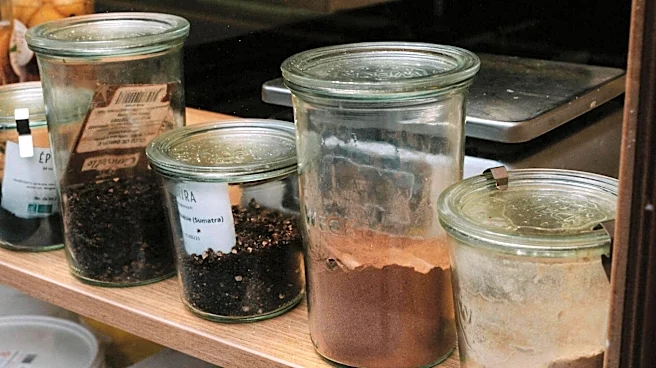 How to keep your spices fresh and flavorful