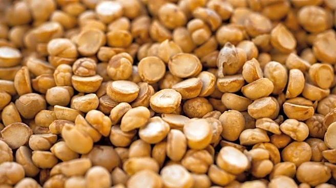 Make every meal better with crispy lentils