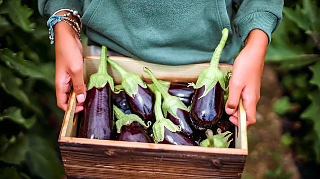 5 Indian vegetables that deserve a spot on your plate