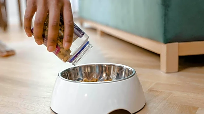 Keep your dog's food fresh with these tips