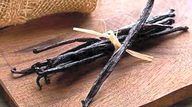 Vanilla pods: The unexpected skincare ingredient