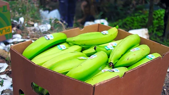 5 unripe vegetables that deserve a spot in your kitchen