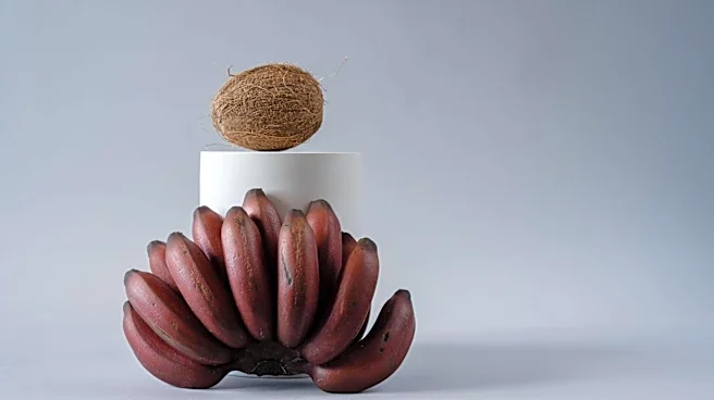 5 banana varieties worth adding to your kitchen