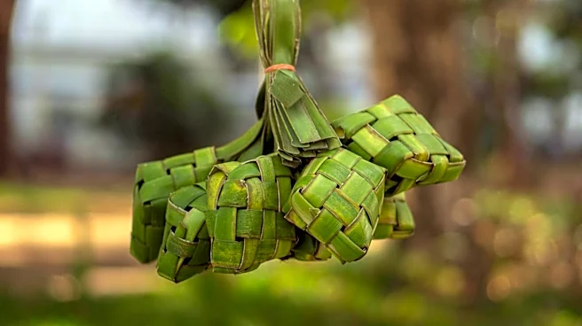 How to use pandan leaves in everyday cooking