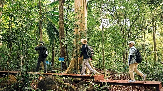 How mindful nature walks can boost your creativity