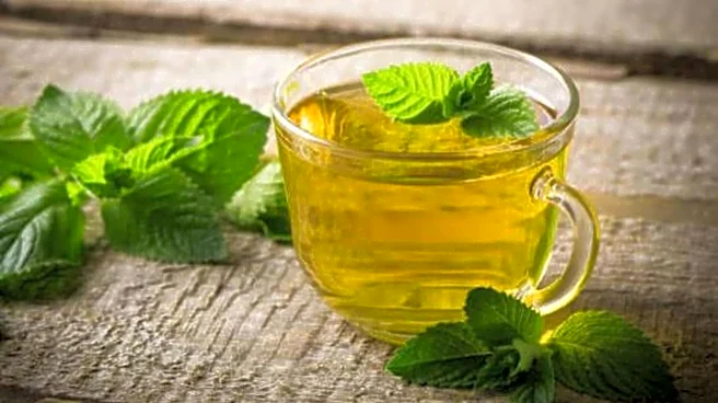 5 refreshing dishes with mint leaves